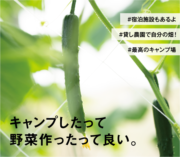 佐々町農業体験施設